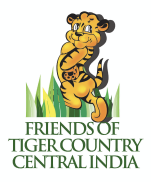 Friends_of_tiger